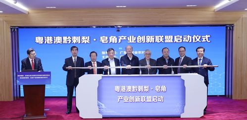 王老吉刺檸吉再出新品,廣藥牽頭成立相關產業創新聯盟