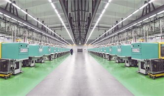 廈門為高技術(shù) 高成長 高附加值企業(yè)成長播撒甘露